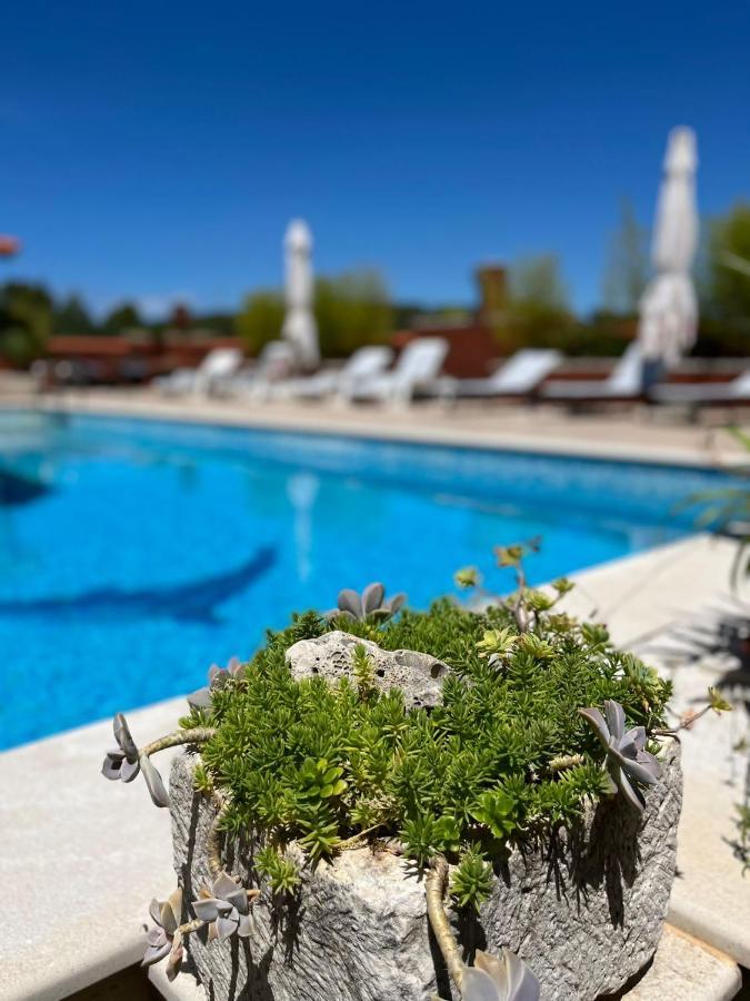 Gorana Apartman With Swimming Pool Appartement Jelsa  Buitenkant foto