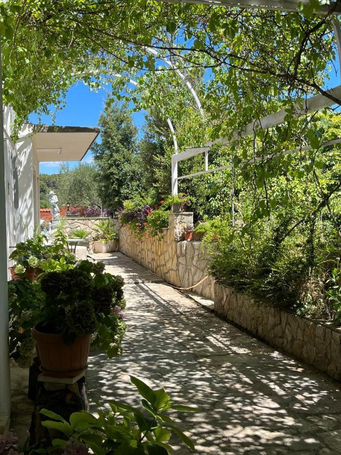 Gorana Apartman With Swimming Pool Appartement Jelsa  Buitenkant foto